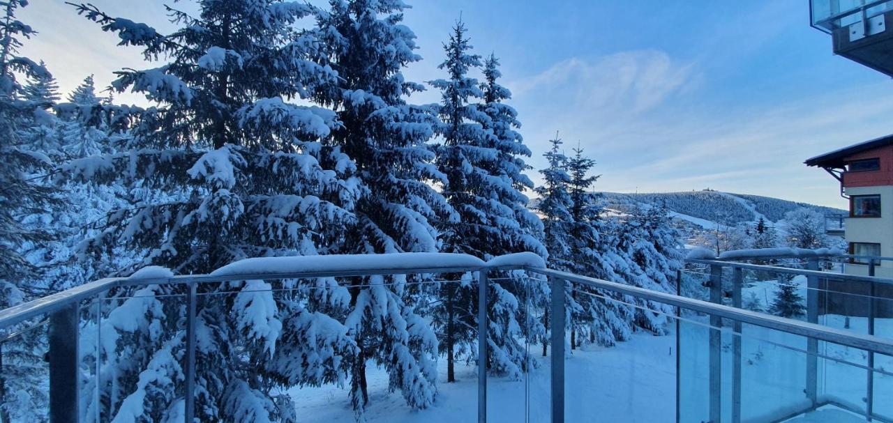 Apartman Nerudovka D 104, Finska Sauna, Garazove Stani โลชนา โปด กลิโนฟเซม ภายนอก รูปภาพ
