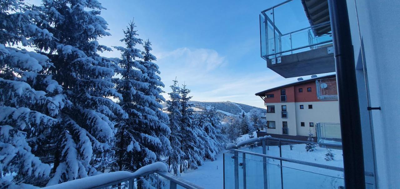 Apartman Nerudovka D 104, Finska Sauna, Garazove Stani โลชนา โปด กลิโนฟเซม ภายนอก รูปภาพ
